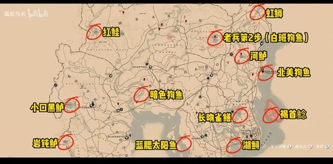 荒野大镖客鱼肉怎么制作