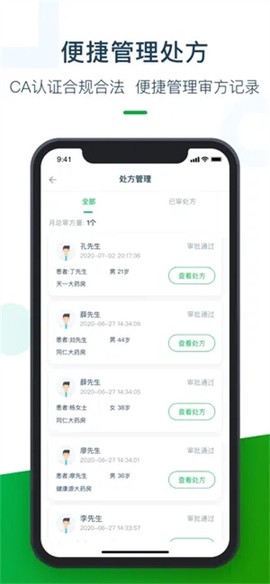 荷叶药师图1