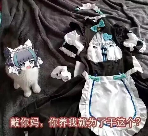 属于碧蓝航线是什么梗