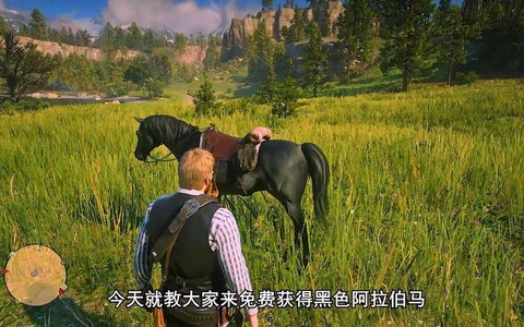 荒野大镖客赛马怎么获得