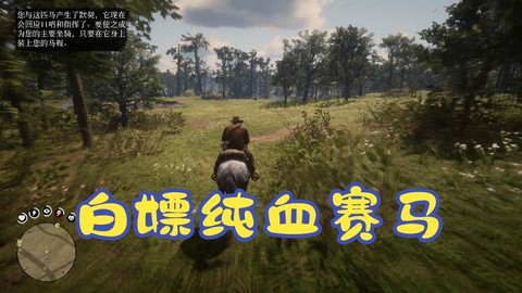 荒野大镖客赛马怎么获得[图1]