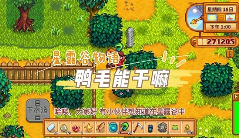 星露谷物语如何鸭毛