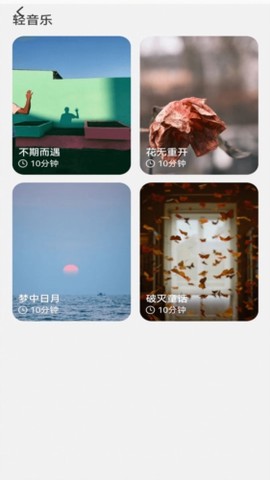 飞鱼测速截图3