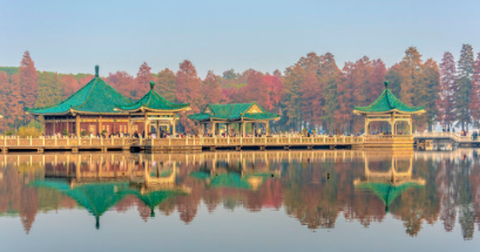自在武汉截图3