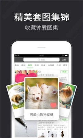 全自动壁纸截图2