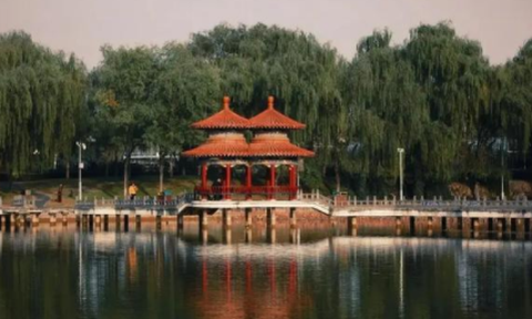 健康洛阳[图2]