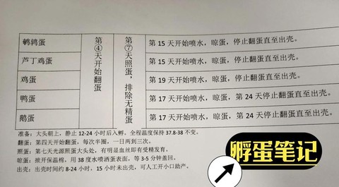 神奇宝贝日月怎么生蛋
