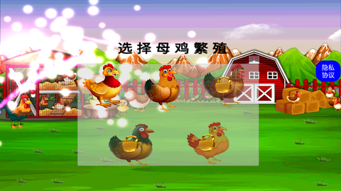 快乐小鸡动物园截图3