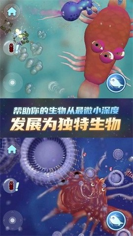 物种进化器截图1