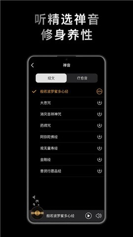 小鲜木鱼截图2