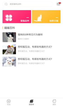 云养猫截图1