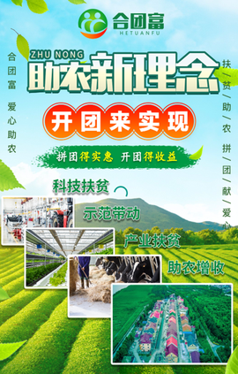 合团富[图1]