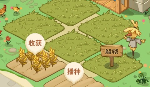 爷爷的开心小菜园[图2]
