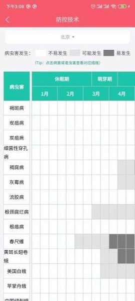 樱桃医生[图1]