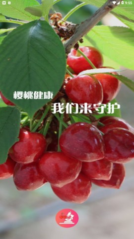 樱桃医生截图3