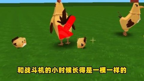 迷你世界如何驯服战斗鸡