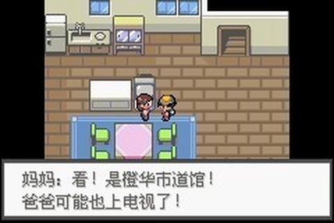口袋妖怪极光石截图3