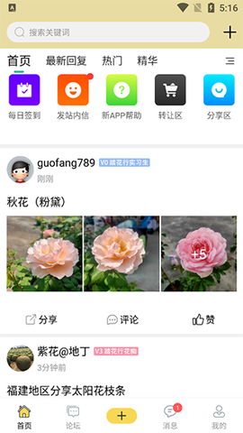 踏花行[图2]