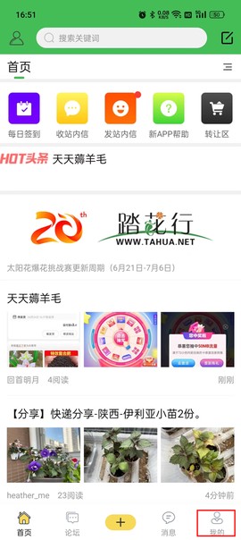踏花行[图6]