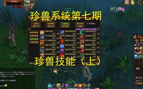 天龙八部怎么打宠物技能