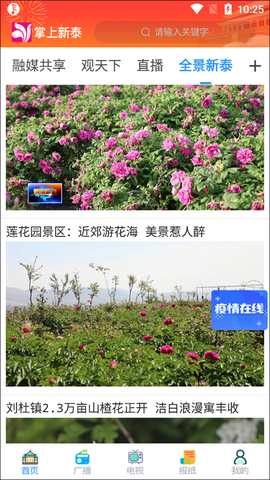 掌上新泰截图1