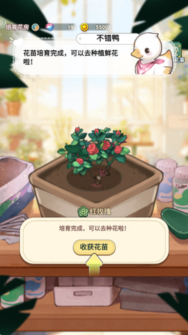 花札物语截图3