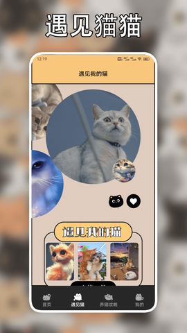 遇见我的猫[图1]
