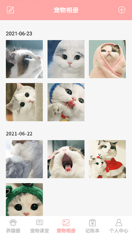遇见我的猫截图1
