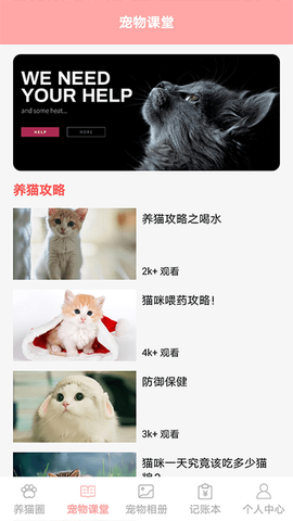 遇见我的猫截图3