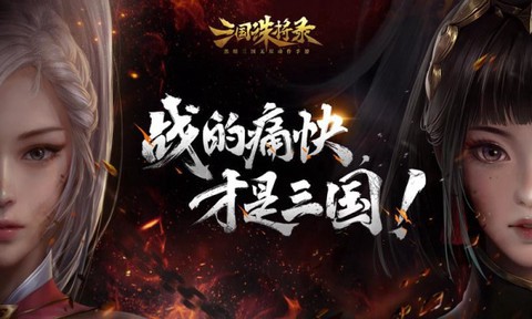三国诛将录截图1