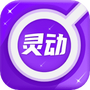 灵动放大镜
