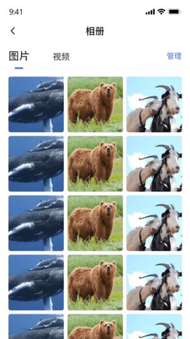 密盒虚拟机[图1]