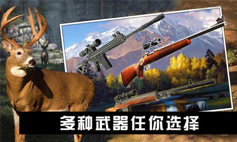 动物世界激战截图3