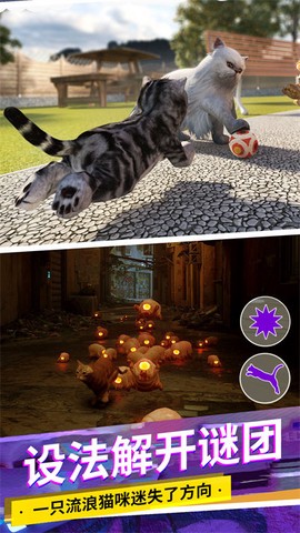 猫咪城市模拟[图1]