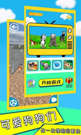 萌宠竞技大赛截图3