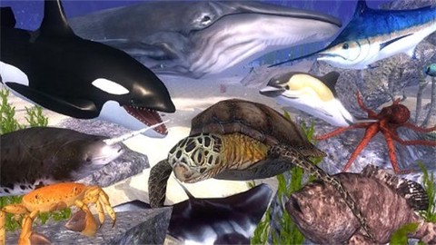 海洋动物模拟器截图3