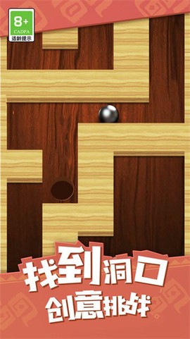 弹珠迷宫截图2