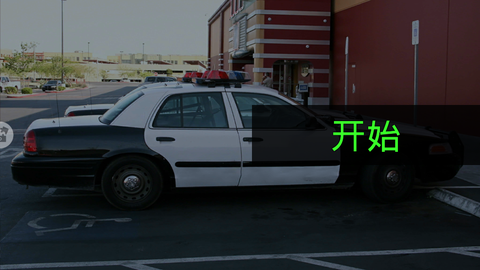 极限赛车狂飙模拟截图1