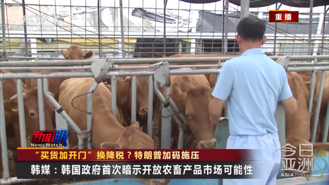 蓝光4K影视截图2