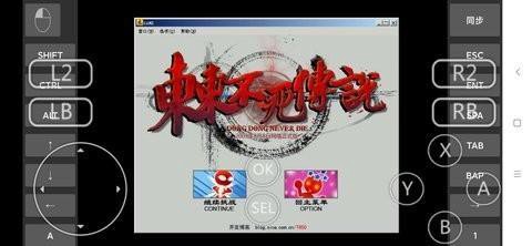 东东不死传说安装器截图1