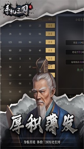 手机三国截图2