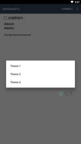 netshare截图3