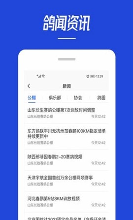 青鸽网截图1