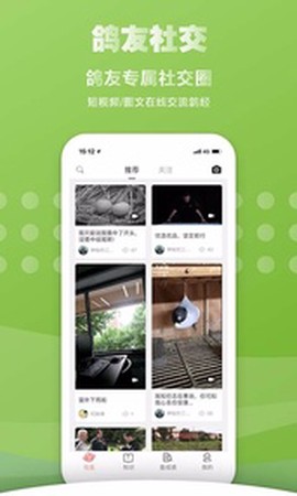 搜鸽网截图2