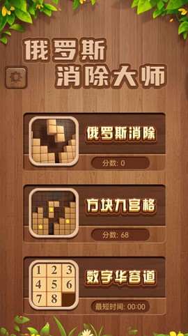 俄罗斯消除大神截图2