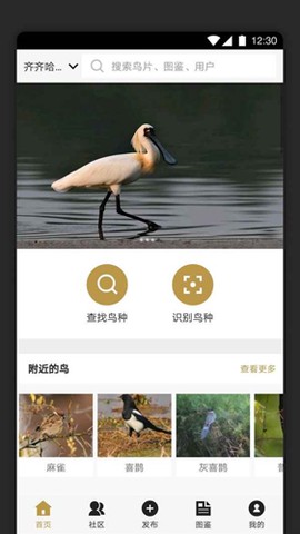 识鸟家截图2