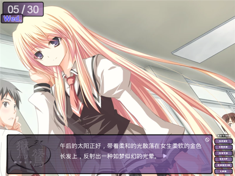 鸑鷟:镜花水月截图3