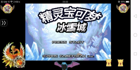 口袋妖怪：冰雪城截图3