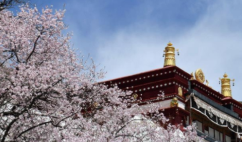 幸福拉萨[图2]
