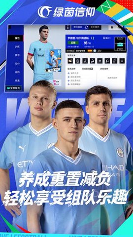 绿茵信仰[图1]